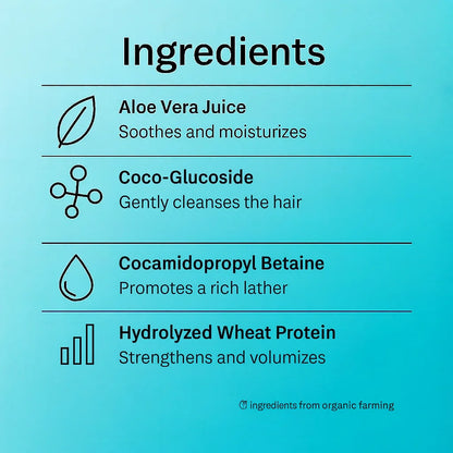 List of hair product ingredients with icons on a blue background